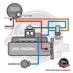 TBI-vacdiagram.webp