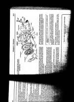 XP Codes 001.webp