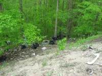 IMG_1695_850x638.webp