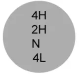 dana20.webp