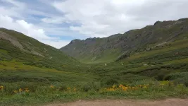20170815_102418 (1).webp