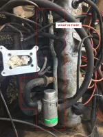 carb3.webp