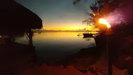 36375530_10214335604282646_5796928221383491584_n.webp