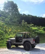 Jeep_Orchard.webp