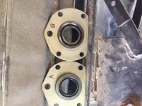 moser seal.webp