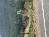 DD3C087E-7309-4FAF-8BE6-9F6C53BF9699.webp