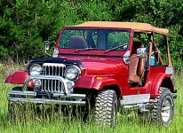 Jeep-in-the-grass.webp