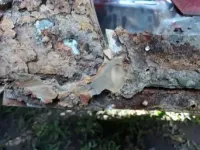 Resized_20190929_151240.webp