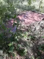 Resized_20190929_153303.webp