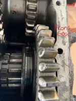 Front Output Gear Enlarged_LI.webp Front Output Gear Enlarged_LI.webp