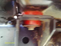 IMAG0010.webp