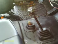 IMAG0013.webp