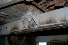 IMGP5369.webp