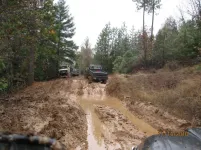 evens creek 008.webp