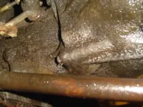 jeep oil leak 002.webp