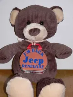 jeep Rider 1.webp
