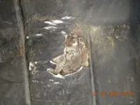 DSCN0324.webp