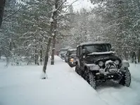 Snowh-1.webp