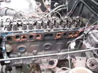 DSCF0151.webp