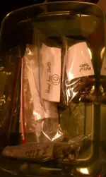 IMAG0144.webp