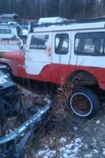 IMAG0171-1.webp