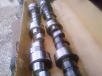 rollervssolid.webp
