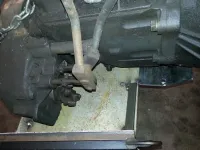 20130414_005811.webp