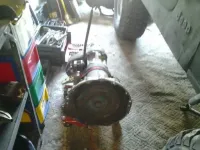 Laredotrans_zps7cc9bd82.webp