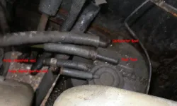 Copy of P2050850.webp