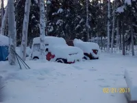 snow day 2 006.webp