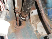 DSC00389.webp