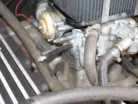 Copy of P3110868.webp