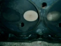 head (3).webp