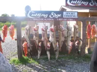 JR Alaska 063.webp
