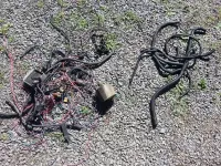 20130917_130131_zps3dba3a5b.webp