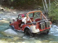 228245_4711337869_6571_n.webp
