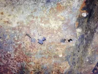 floor%20rust_zps1ljpf9pn.webp