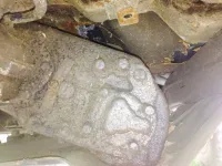 oily%20dana%20300_zpsskmfuhzx.webp