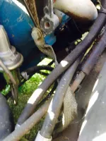 image_zpsppgmcrud.webp
