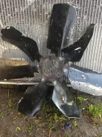 image_zpscw4s1xgk.webp