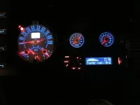 IMG_2339.jpg