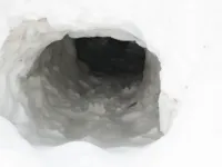 cave001.webp