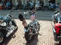 easyrider1.webp