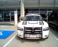 popo1.webp