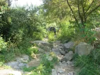 IMG_2260_800x600.webp