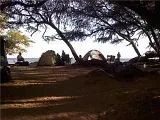 th_camp.webp