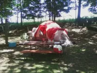campsite2.webp