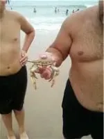 MrKrabs.webp