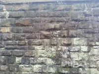 explore2.webp