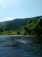 lehigh3.webp